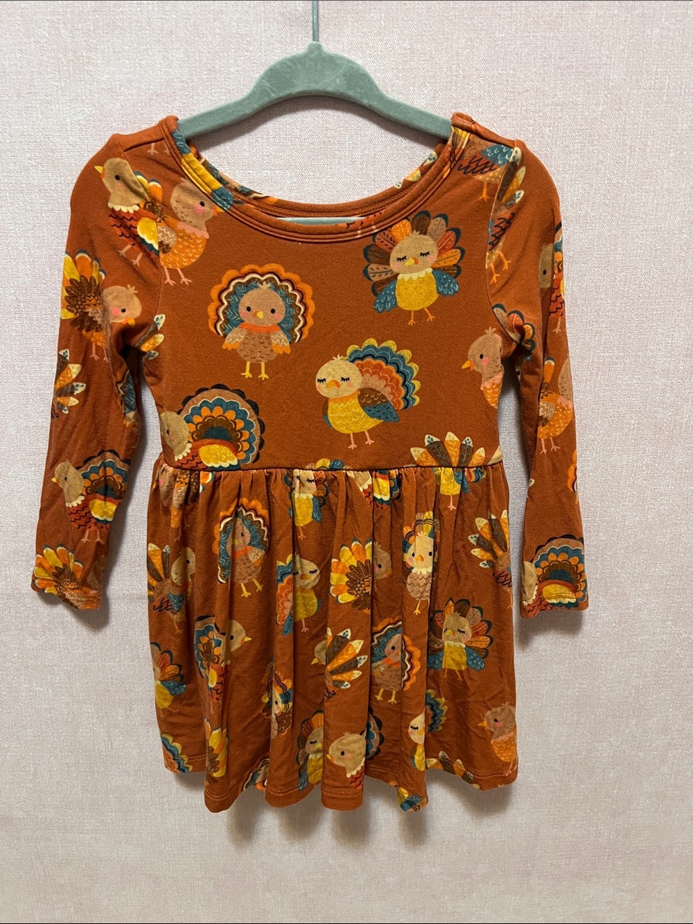 Little Sleepies grateful gobbles long sleeve twirl dress 12-18 mos